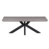 Hattan Garden Coffee Table