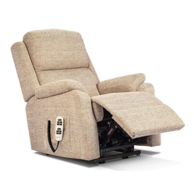 Arizona Riser Reclining Chair - Image 4